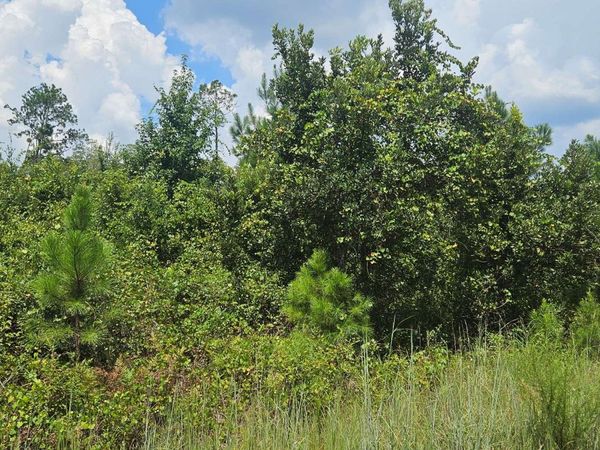 TBD 66TH STREET, Live Oak, FL 32060