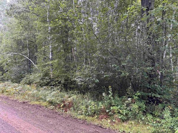 ARMSTRONG CREEK ROAD, Tomahawk, WI 54487