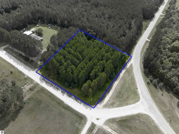 Dundas Road NW, Alden, MI 49612