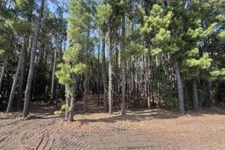 Tbd Pasture Rd. photo 4