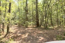 Tbd Pasture Rd. photo 4