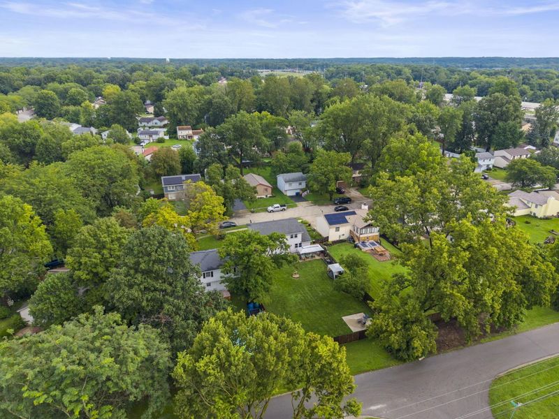 4111 Spring Flower Court, Columbus, OH 43230 Photo 5