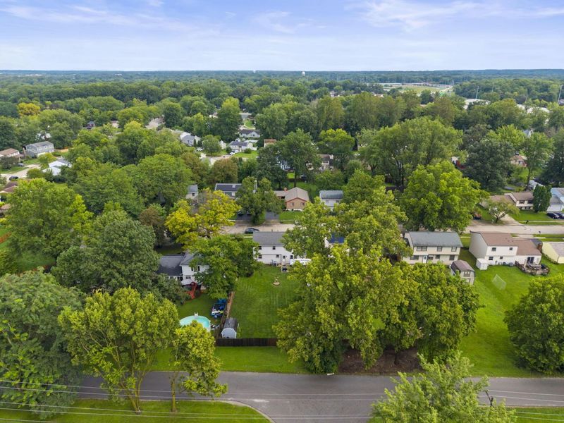 4111 Spring Flower Court, Columbus, OH 43230 Photo 6