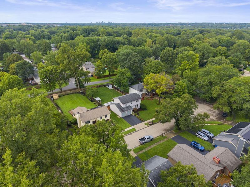4111 Spring Flower Court, Columbus, OH 43230 Photo 8