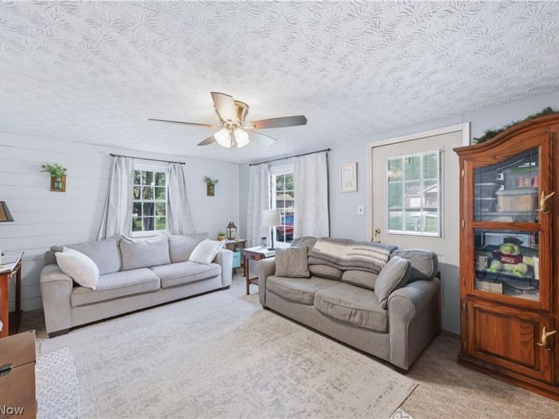 11596 Homestead Avenue NE, Alliance, OH 44601 Photo 20