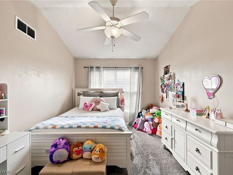 1214 E Chapman Lane, Unit 5, Medina, OH 44256 Photo 26