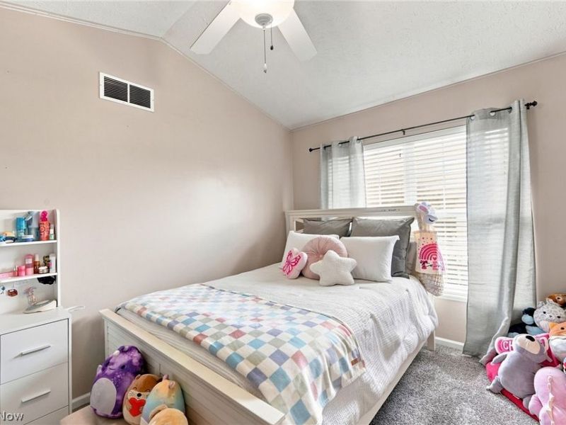 1214 E Chapman Lane, Unit 5, Medina, OH 44256 Photo 27