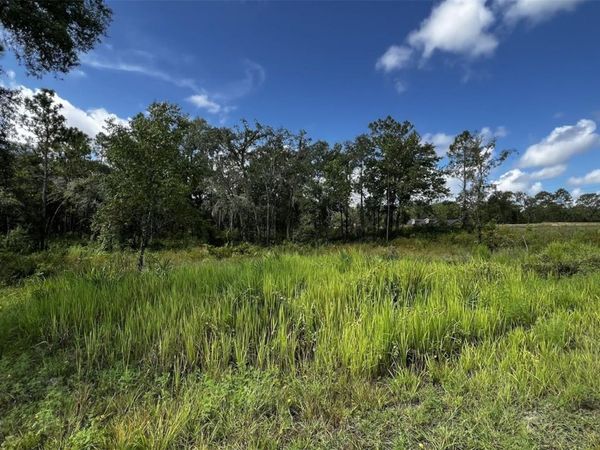 7398 WAGERS DRIVE , WEBSTER, FL 33597