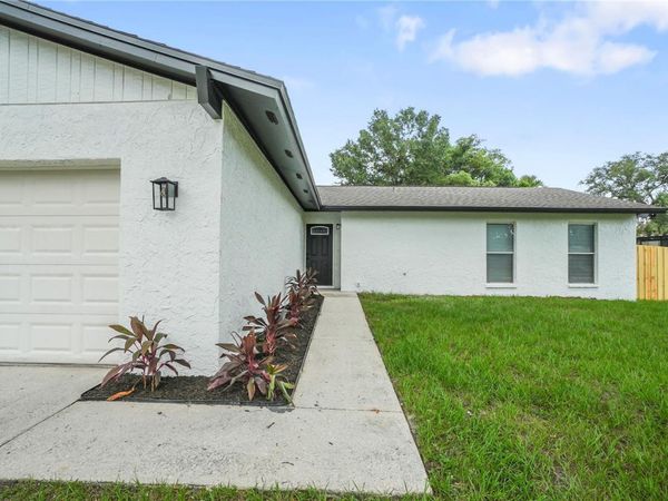 1901 LAKEVIEW DRIVE , BRANDON, FL 33511