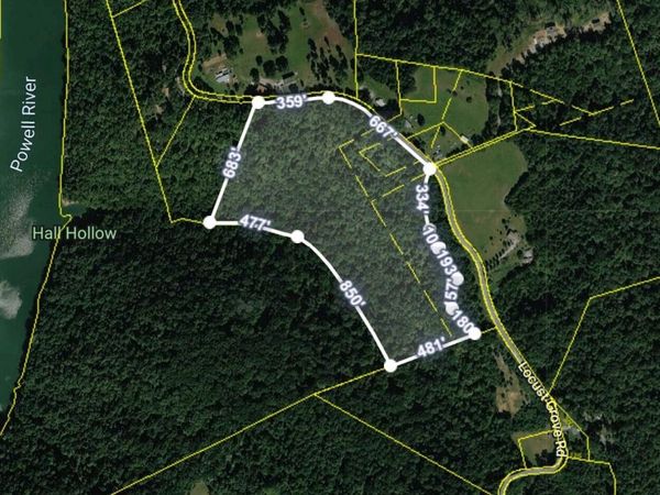Locust Grove Rd, New Tazewell, TN 37825