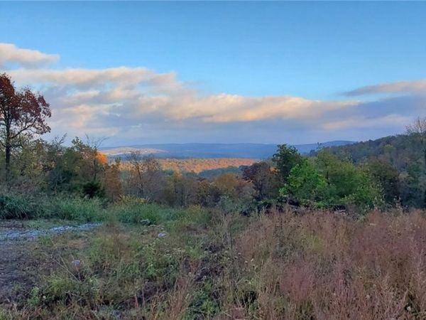 Tony Mountain Road, Fayetteville, AR 72701