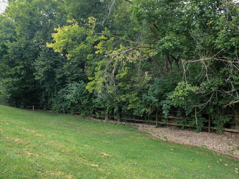10150 Falcon Ridge Drive, Independence, KY 41051 Photo 46