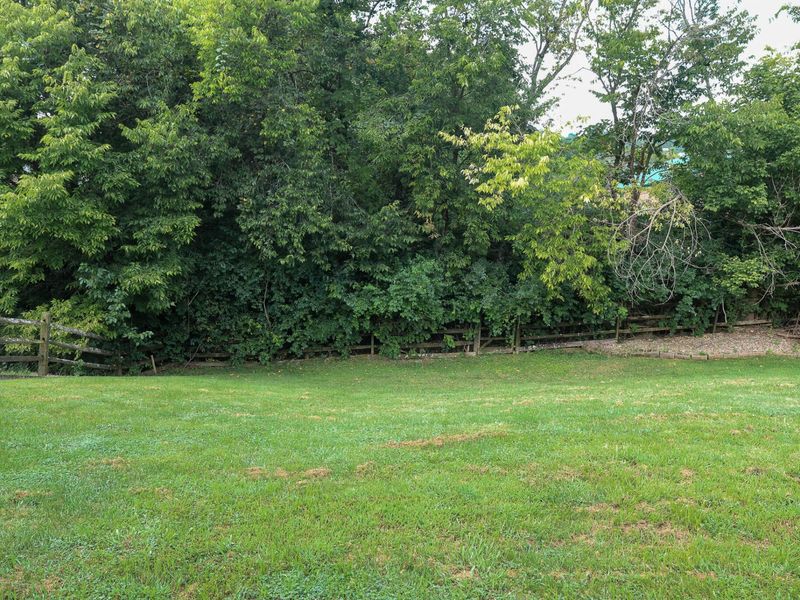 10150 Falcon Ridge Drive, Independence, KY 41051 Photo 49