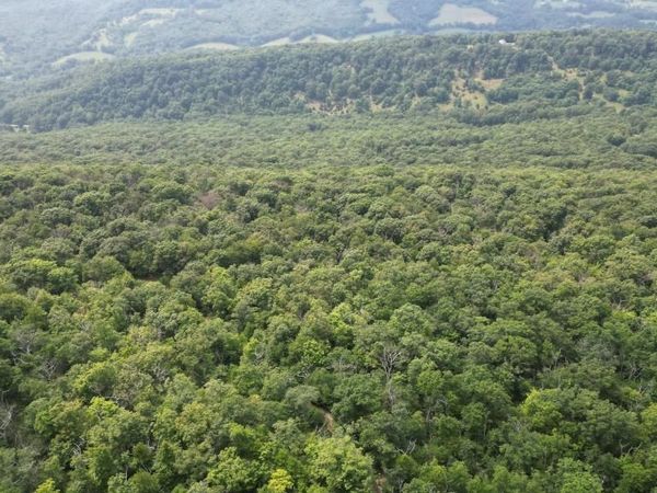 1841 PANTHER ROAD, MAYSVILLE, WV 26833