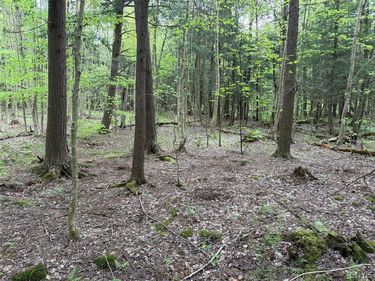 Kellogg Hill Road, South Dayton, NY 14138