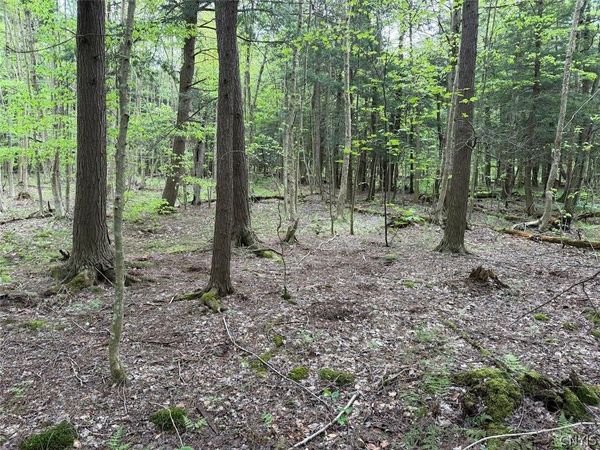 Kellogg Hill Road , South Dayton, NY 14138