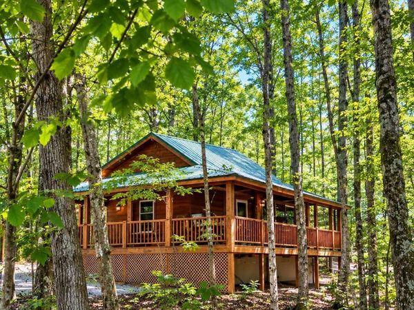 1341 Corey Court, Bellaire, MI 49615