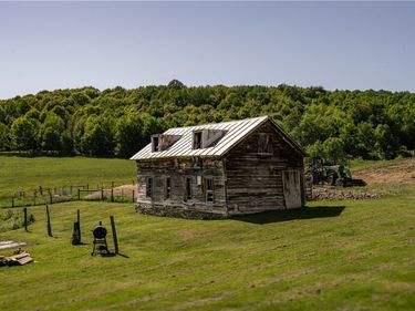 1245 Oak Hill Road, Franklin, NY 13775