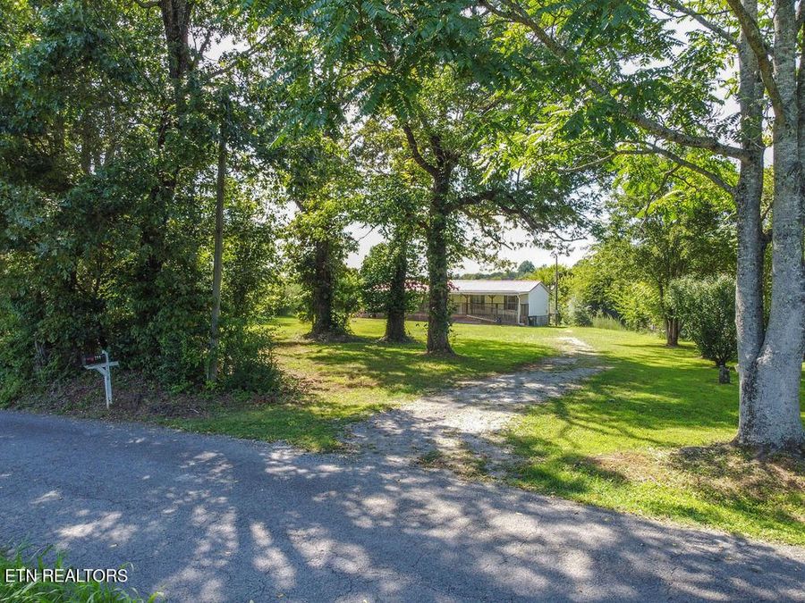 Property Image 43