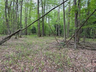 Kellogg Hill Road, South Dayton, NY 14138