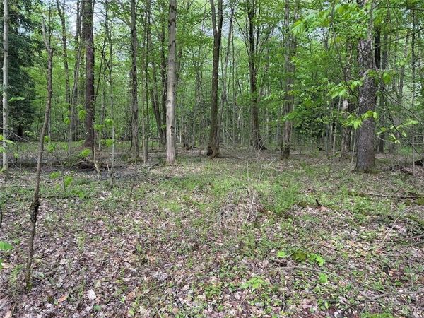 Kellogg Hill Road , South Dayton, NY 14138