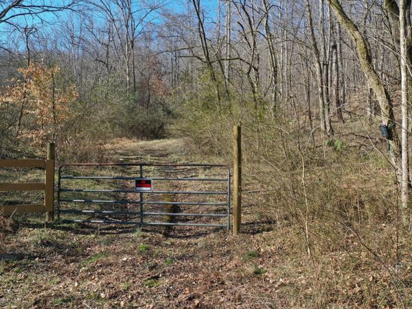 0 Dog Branch Rd , Mount Pleasant, TN 38474