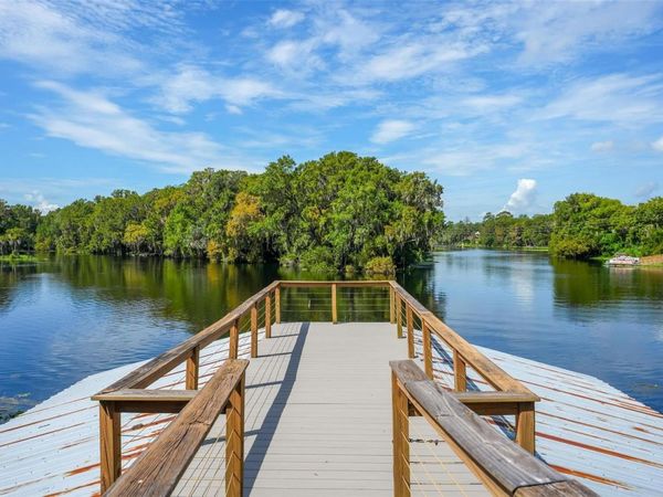20368 THE GRANADA , DUNNELLON, FL 34432