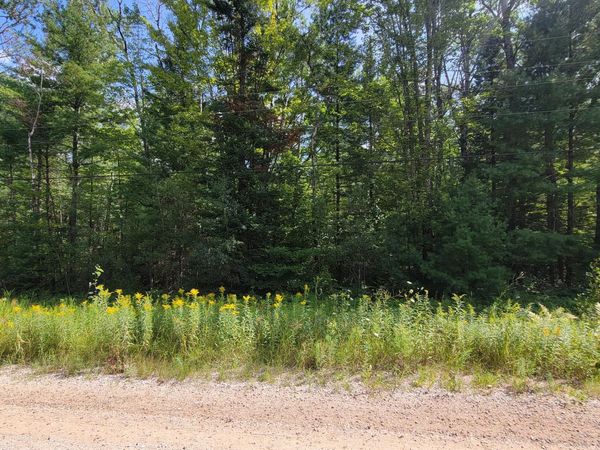 15907 Avenue Du Chalet, Wolverine, MI 49799