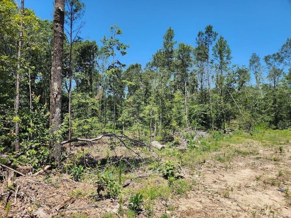 West 16.9 Acres on Hwy 82 E, El Dorado, AR 71730