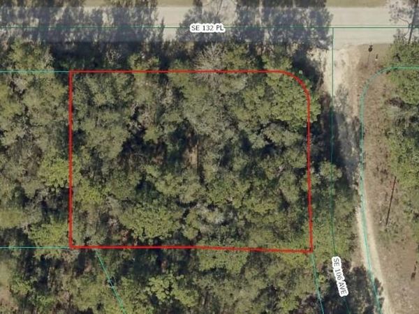 00 SE 132ND PLACE , OCKLAWAHA, FL 32179