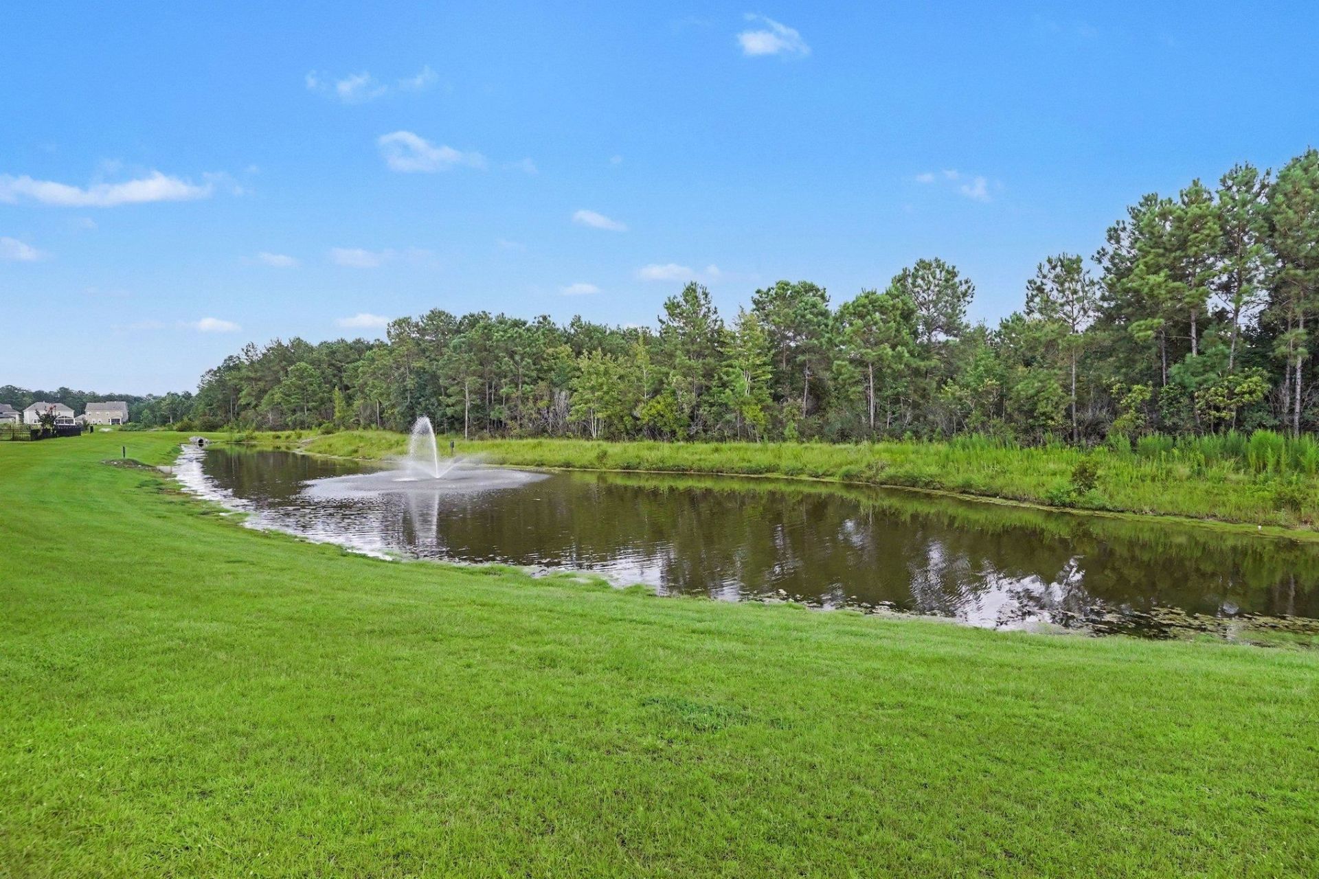 293 Calhoun Falls Dr. Photo 37