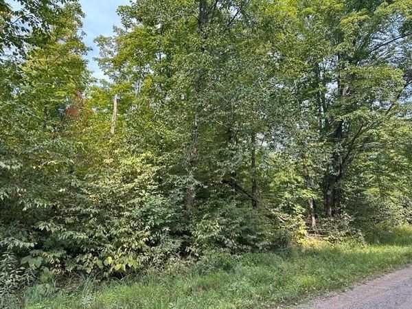 0 Helsing Road, Ojibwa, WI 54862