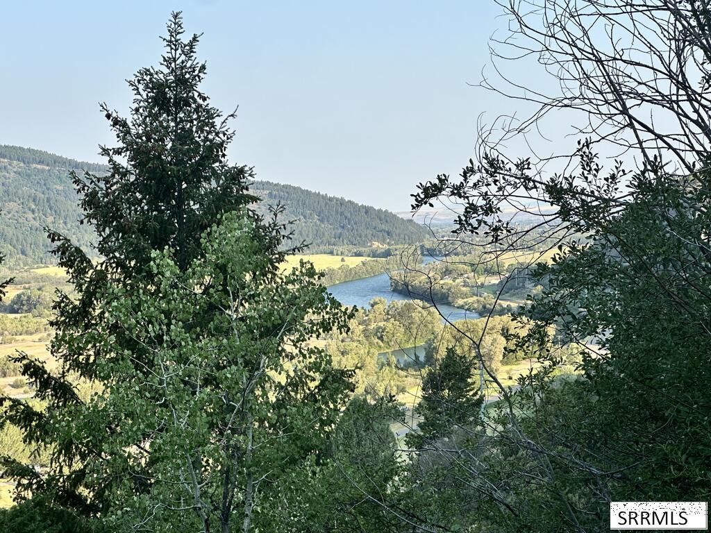 4061 Swan Valley Hwy, Irwin, ID 83428 Main Photo