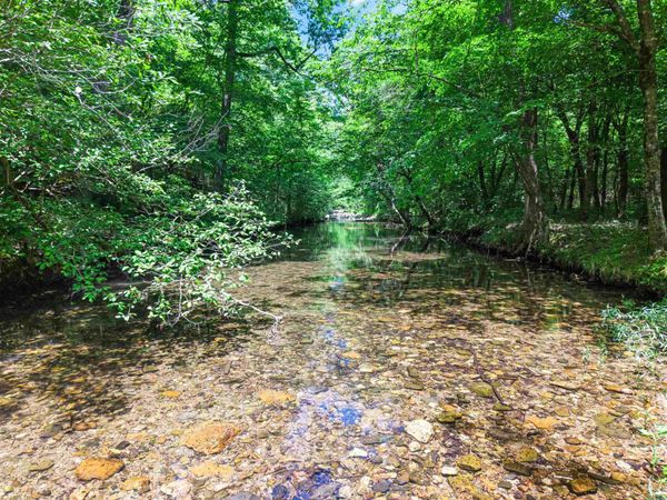 27 Duggan Road , Glenwood, AR 71943