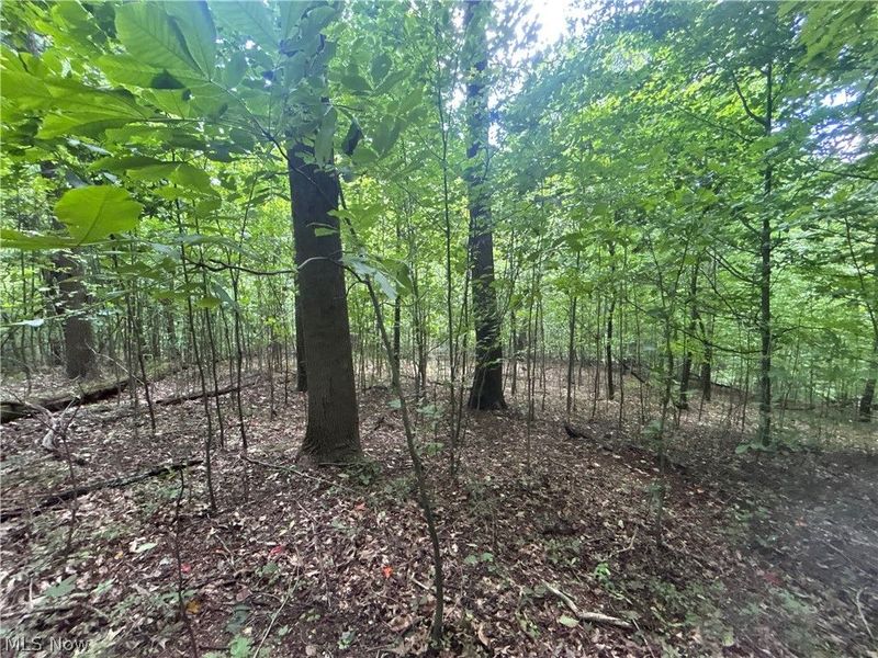 44713 State Route 541, Coshocton, OH 43812 Photo 13