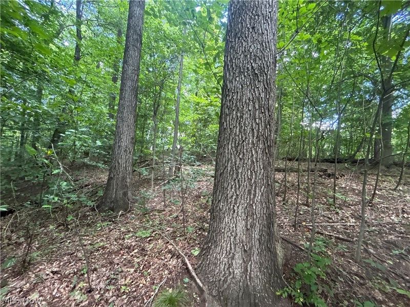 44713 State Route 541, Coshocton, OH 43812 Photo 14