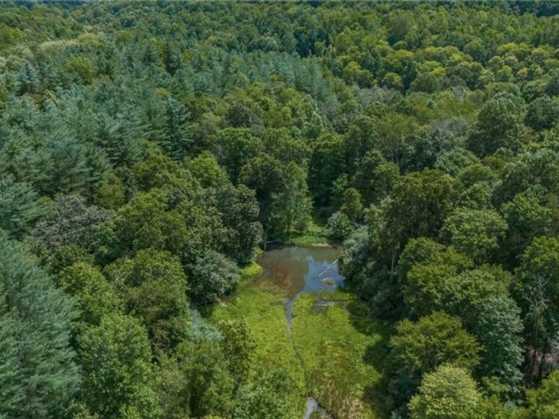 44713 State Route 541, Coshocton, OH 43812 Photo 31
