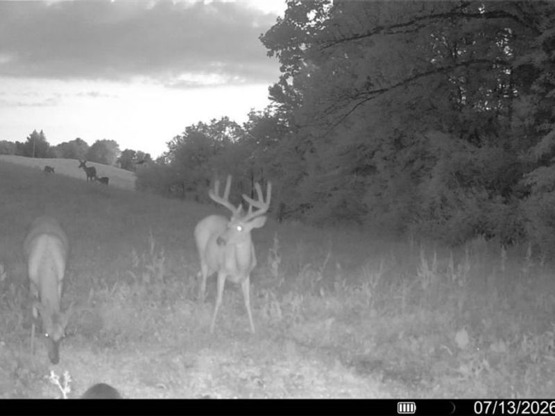 44713 State Route 541, Coshocton, OH 43812 Photo 41