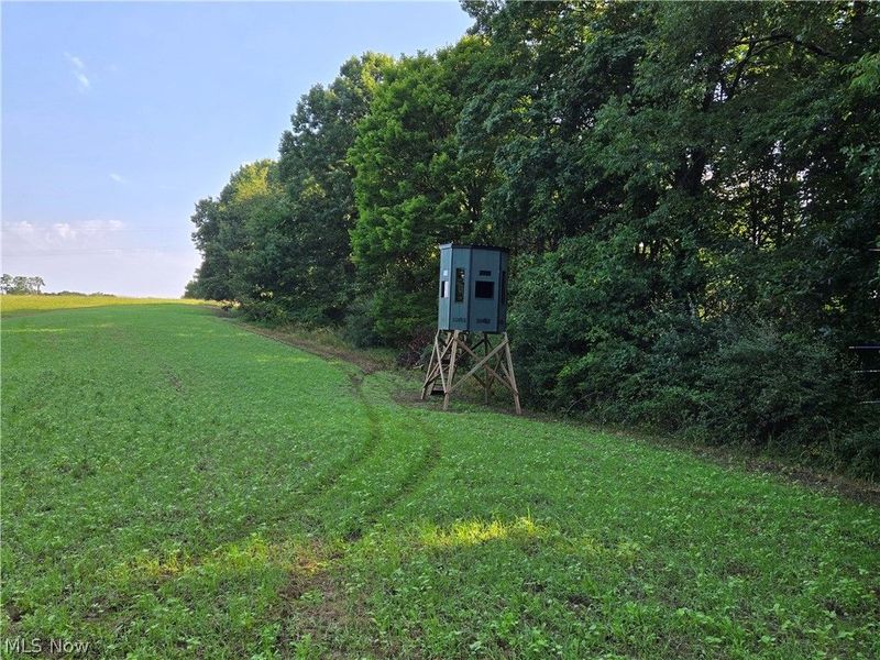 44713 State Route 541, Coshocton, OH 43812 Photo 9