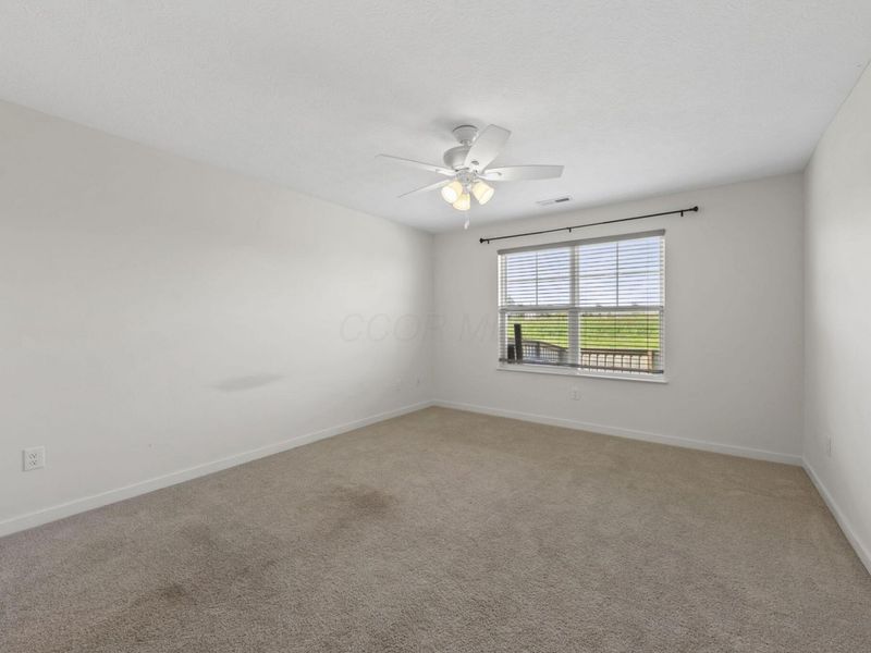 6558 Pfeifer Ash Drive, Canal Winchester, OH 43110 Photo 12