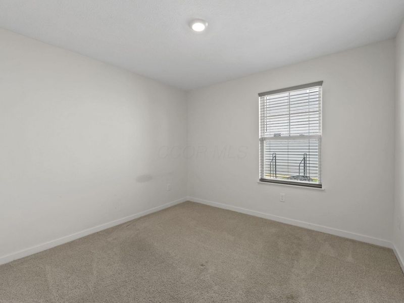 6558 Pfeifer Ash Drive, Canal Winchester, OH 43110 Photo 14