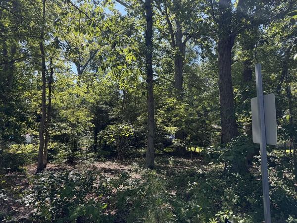 Lot 224 Sherwood Drive, REEDVILLE, VA 22539