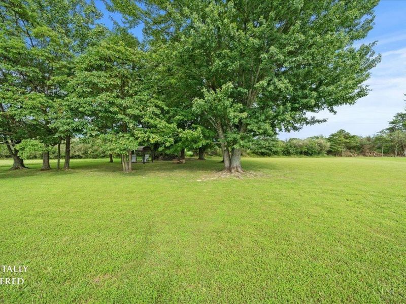 138 Seminole Drive, Franklin Township, OH 45171 Photo 20