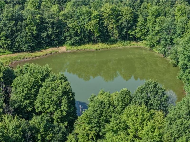 Norton Road, Garrettsville, OH 44231 Photo 12