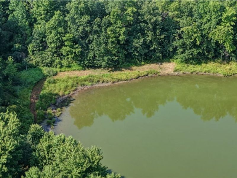 Norton Road, Garrettsville, OH 44231 Photo 13