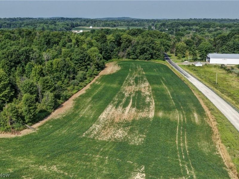 Norton Road, Garrettsville, OH 44231 Photo 15