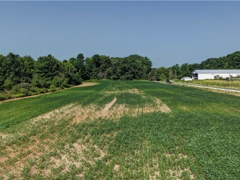 Norton Road, Garrettsville, OH 44231 Photo 16