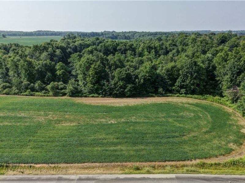 Norton Road, Garrettsville, OH 44231 Photo 17