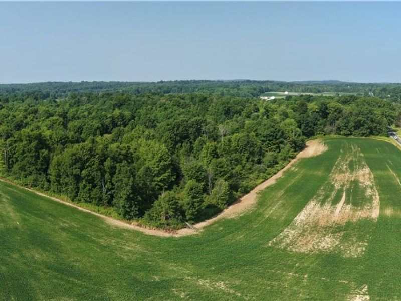 Norton Road, Garrettsville, OH 44231 Photo 18