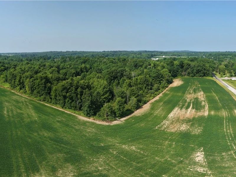 Norton Road, Garrettsville, OH 44231 Photo 19